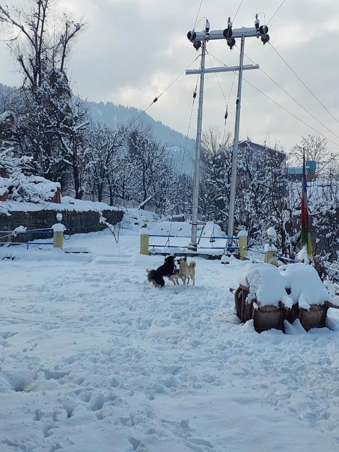 Indian Backpackers Hostel Manali  Luaran gambar