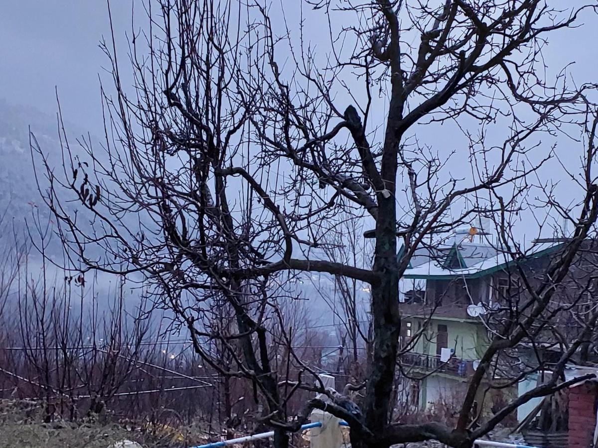 Indian Backpackers Hostel Manali  Luaran gambar
